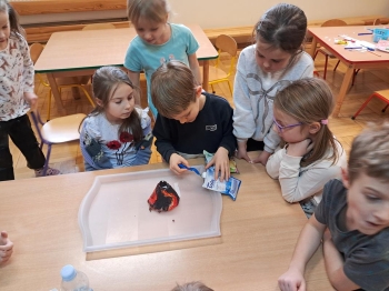 20250205_152514 (loretanki.edu.pl)