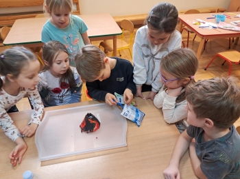 20250205_152519 (loretanki.edu.pl)
