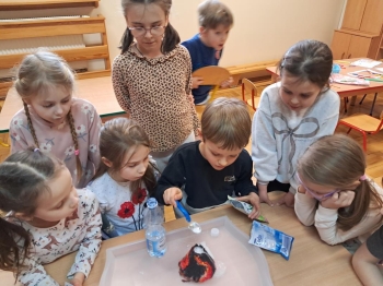 20250205_152605 (loretanki.edu.pl)