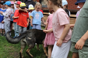 IMG_3622 (Loretanki.edu.pl).JPG