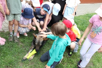 IMG_3680 (Loretanki.edu.pl).JPG