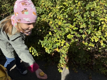 IMG_2340 (Loretanki.edu.pl).JPG