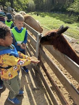 IMG_2133 (Loretanki.edu.pl).JPG