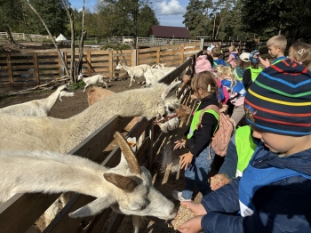 IMG_2143 (Loretanki.edu.pl).JPG