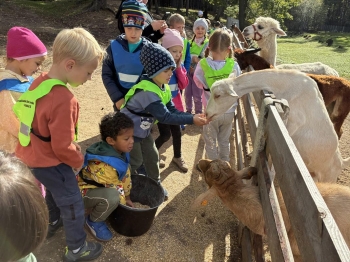 IMG_2158 (Loretanki.edu.pl).JPG