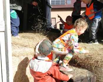 IMG_4894 (Loretanki.edu.pl).JPG