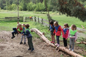 IMG_5064 (Loretanki.edu.pl).JPG