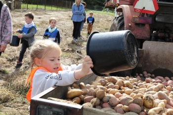 IMG_5093 (Loretanki.edu.pl).JPG