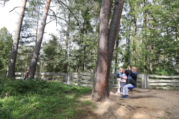 IMG_5148 (Loretanki.edu.pl).JPG
