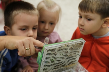 IMG_5575 (Loretanki.edu.pl).JPG