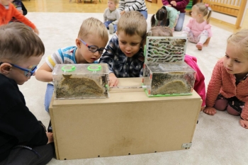 IMG_5583 (Loretanki.edu.pl).JPG