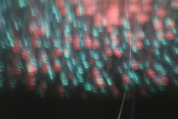 IMG_5756 (Loretanki.edu.pl).JPG