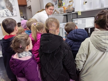 IMG_20251030_101436 (Loretanki.edu.pl)