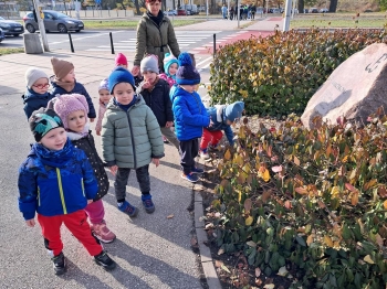 20251105_105207 (Loretanki.edu.pl)