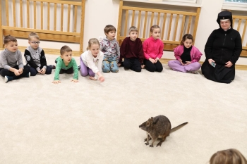 IMG_7937 (Loretanki.edu.pl).JPG