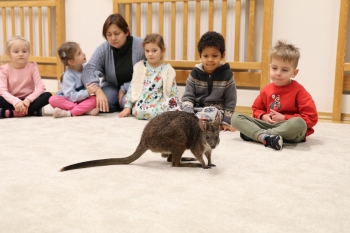 IMG_7999 (Loretanki.edu.pl).JPG