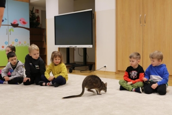 IMG_7921 (Loretanki.edu.pl).JPG