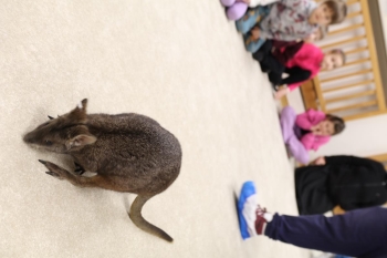 IMG_7942 (Loretanki.edu.pl).JPG