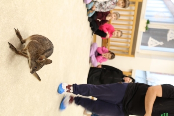 IMG_7943 (Loretanki.edu.pl).JPG