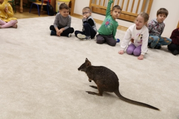 IMG_7945 (Loretanki.edu.pl).JPG