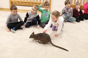 IMG_7946 (Loretanki.edu.pl).JPG