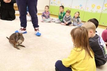 IMG_7947 (Loretanki.edu.pl).JPG