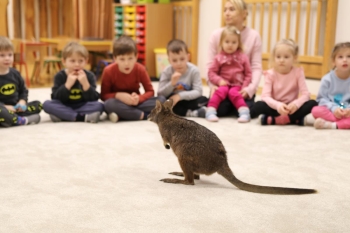 IMG_7992 (Loretanki.edu.pl).JPG