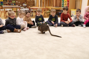 IMG_7994 (Loretanki.edu.pl).JPG