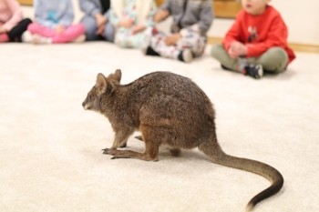 IMG_7997 (Loretanki.edu.pl).JPG