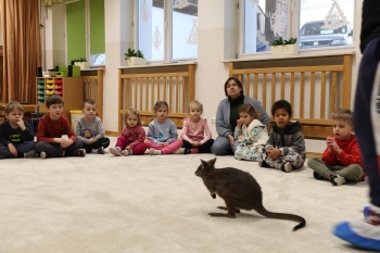 IMG_8009 (Loretanki.edu.pl).JPG