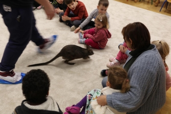 IMG_8020 (Loretanki.edu.pl).JPG