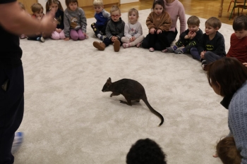 IMG_8021 (Loretanki.edu.pl).JPG