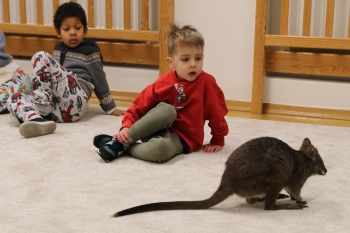 IMG_8027 (Loretanki.edu.pl).JPG