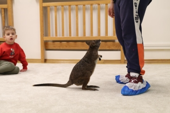 IMG_8030 (Loretanki.edu.pl).JPG