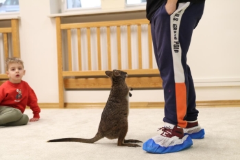 IMG_8031 (Loretanki.edu.pl).JPG