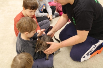 IMG_8053 (Loretanki.edu.pl).JPG