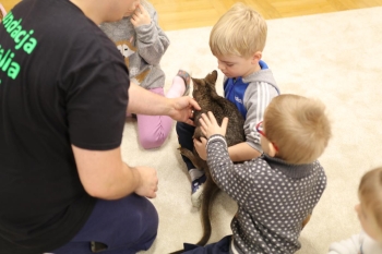 IMG_8068 (Loretanki.edu.pl).JPG