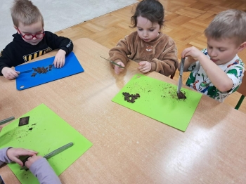 20260127_141955 (Loretanki.edu.pl)