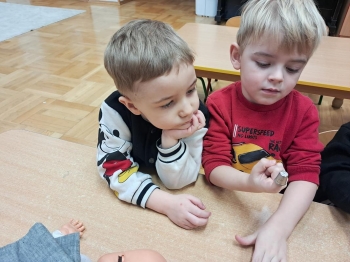 20260219_101249 (Loretanki.edu.pl)