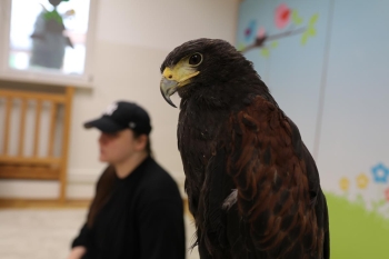 IMG_9966 (Loretanki.edu.pl).JPG