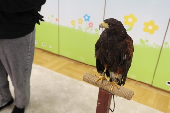 IMG_9979 (Loretanki.edu.pl).JPG