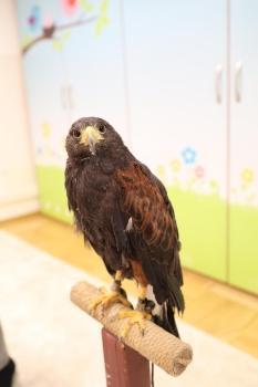 IMG_9977 (Loretanki.edu.pl).JPG