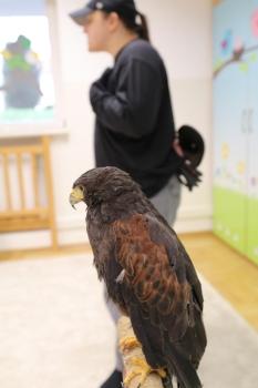 IMG_9978 (Loretanki.edu.pl).JPG