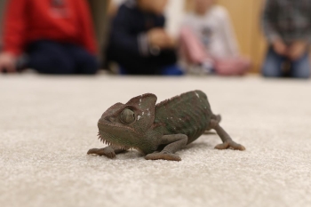 IMG_0257 (Loretanki.edu.pl).JPG