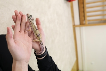 IMG_0210 (Loretanki.edu.pl).JPG