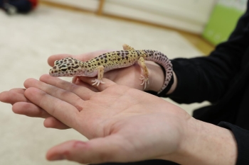 IMG_0211 (Loretanki.edu.pl).JPG