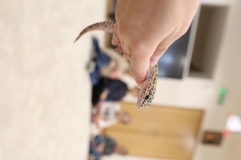 IMG_0216 (Loretanki.edu.pl).JPG