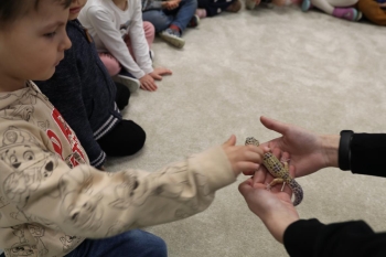 IMG_0221 (Loretanki.edu.pl).JPG