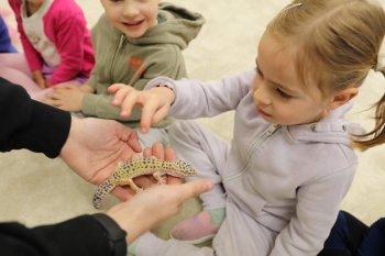 IMG_0231 (Loretanki.edu.pl).JPG