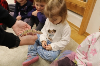 IMG_0236 (Loretanki.edu.pl).JPG